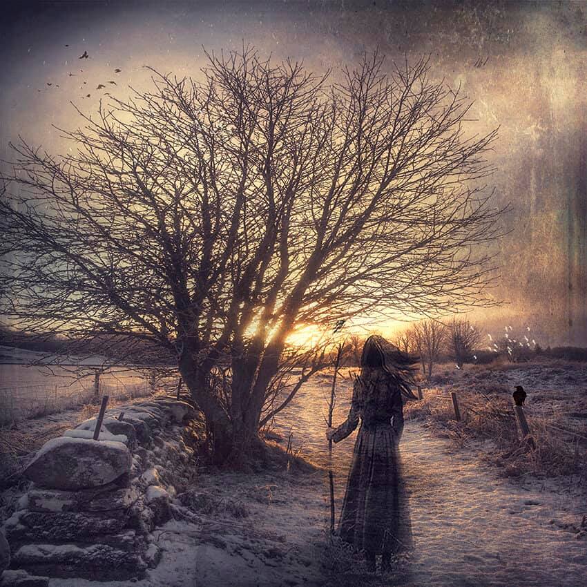 ABOUT DRYAD ARGYLL