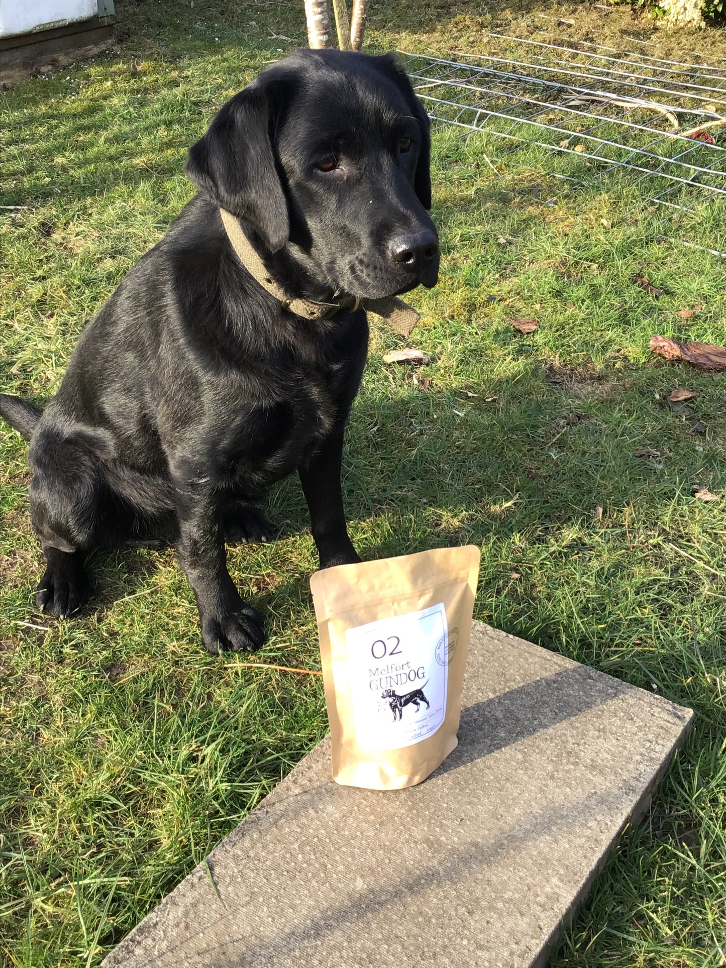 No. 2 NEW Melfort Gundog Blend - WHOLE BEAN
