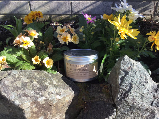 No. 14 Craobh Citris Double Wick Tin Candle 300 ml
