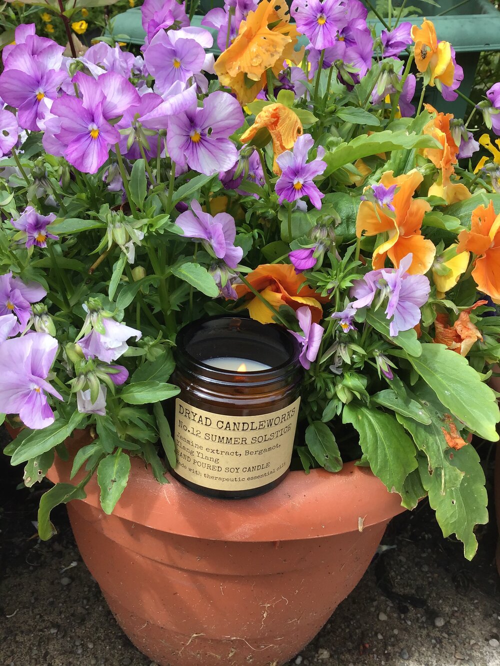 No. 12 Summer Solstice Apothecary Jar Candle 120 ml